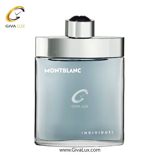   Mont Blanc Individuel.jpg